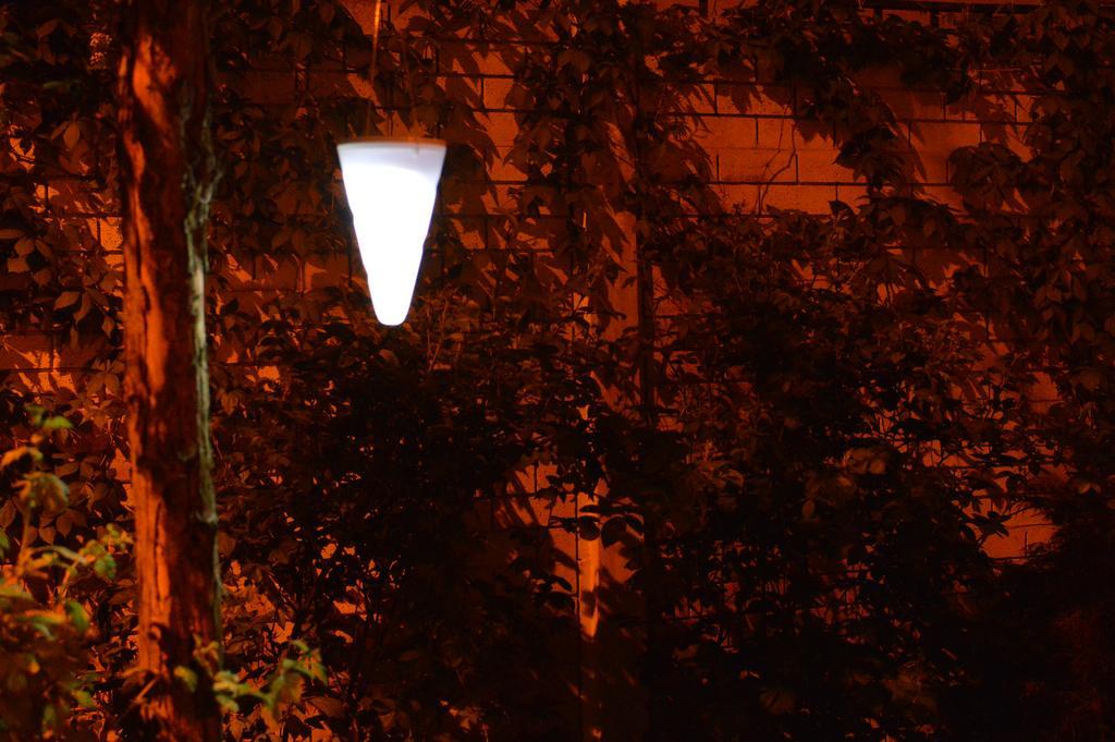 Exit Routine * Timisoara